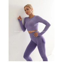 Roupas de ioga de fitness feminina feminina